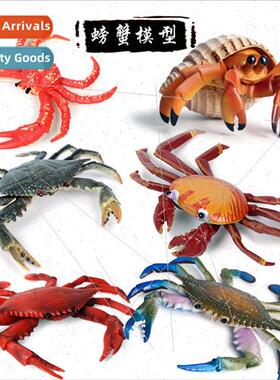 Animal model marine crab sally crab herm crab pike crab thre