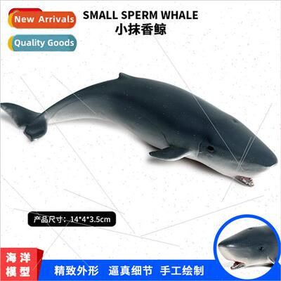 Children solid static simulation toys whale shark sperm whal