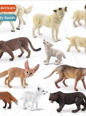 Wildlife elephant brown bear koala meerkat armadillo rabb hi