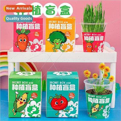 Children potted plants blind box kindergarten green plant se