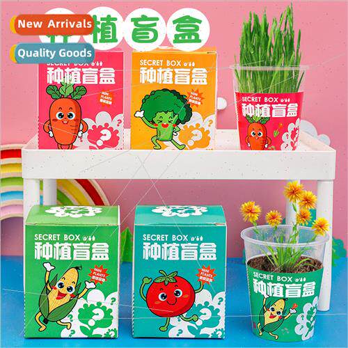 Children potted plants blind box kindergarten green plant se