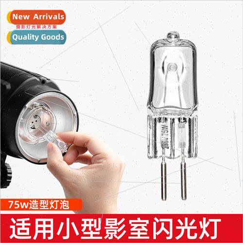 75W modeling bulb photography 160 200 250W small studio flas
