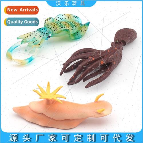 Sea rabb sea slug squid cuttlefish squid soft fish creative