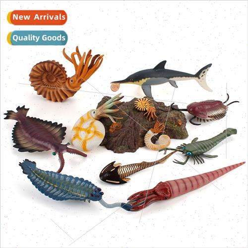 Ancient marine life model head turtle odd shrimp sea scorpio