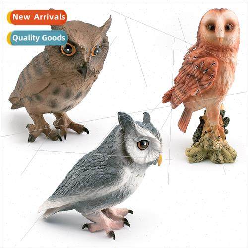 mulation owl barn owl monkey-faced eagle birds prey wildlife