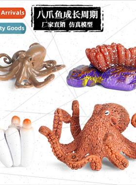 early childhood toys octopus octopus salmon rooster sea turt