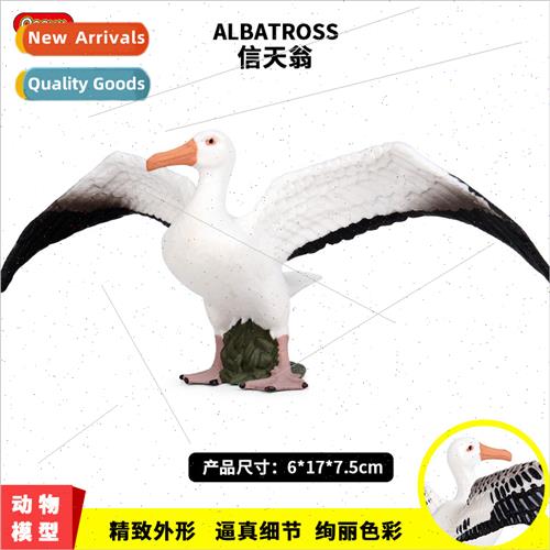 Static wildlife world model solid bird model albatross child