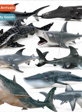 Children great whe shark shark megalodon whale shark tiger s