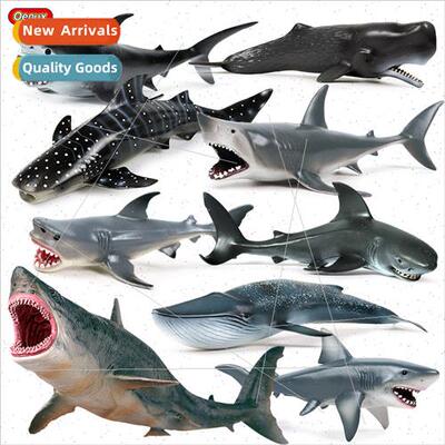 Children great whe shark shark megalodon whale shark tiger s