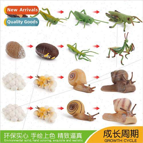 Kindergarten science education cognive growth cycle animal m