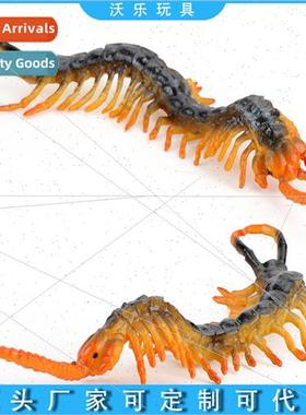 Wildlife centipede model static ornament model toys适用child