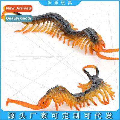 Wildlife centipede model static ornament model toys适用child