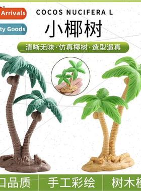 Cognive Tree Model Coconut Tree Sandbox Archecture Tree Mode