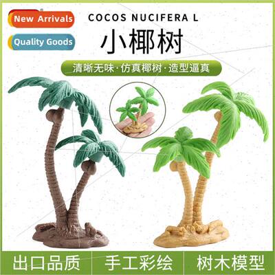 Cognive Tree Model Coconut Tree Sandbox Archecture Tree Mode