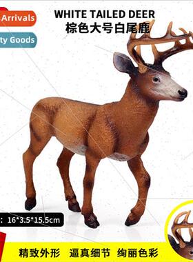 World model large whetail deer Christmas elk children model