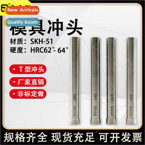SKH-51 punch mold stainless steel T-punch 12.1-12.2-12.3-12.
