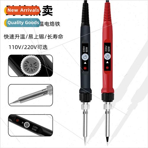 Intelligent temperature control soldering iron 110V/220V int