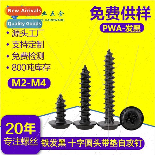 PWA M2-M4 blackened iron Phillips pan head tapping screws wh