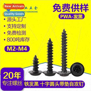 PWA M2-M4 blackened iron Phillips pan head tapping screws wh