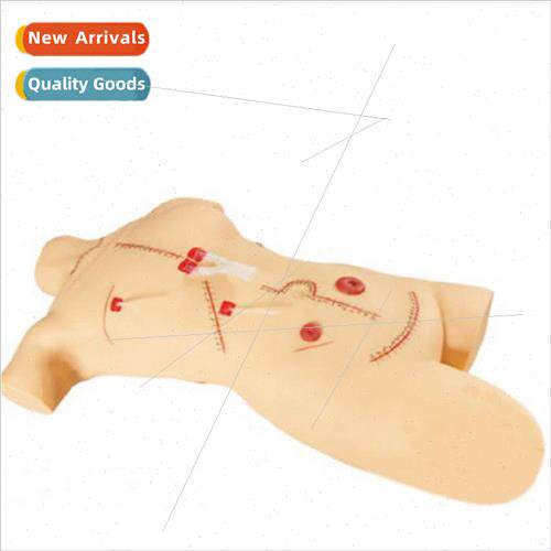 Surgical Suture Dressing Display Model Whole Body Incision S