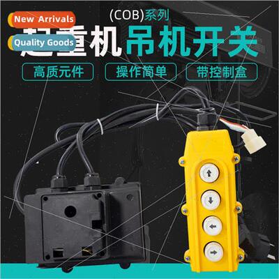 Home crane 220v single-phase lift electric hoist up down lef