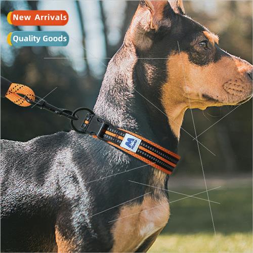 Dog Collar Dog Collar Small Dog Collar Large Dog Collar Anti