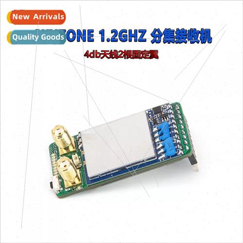 1.2Ghz Diversy Receiver 4db Antenna 2 Fixed Wing