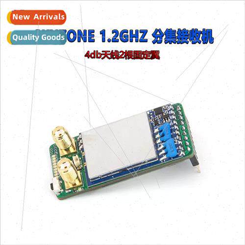 1.2Ghz Diversy Receiver 4db Antenna 2 Fixed Wing