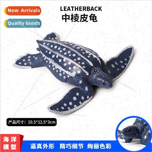 Model Leatherback Turtle Sea creature sea turtle Turtle mode