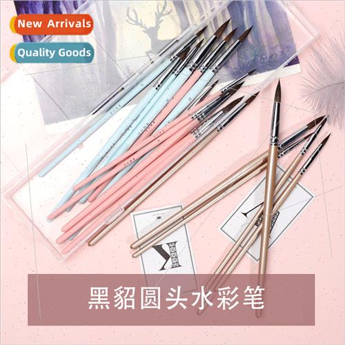 Black Sable Animal Hair 6pcs Round Tip Watercolor Brushes Se