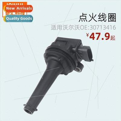 Automotive ignition coil ignition适用Volvo OE:0221604001,307