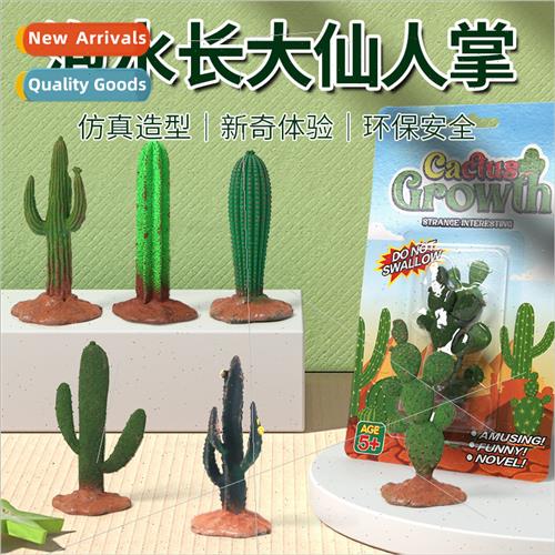 Soaking expansion cactus soaking toys children educational t
