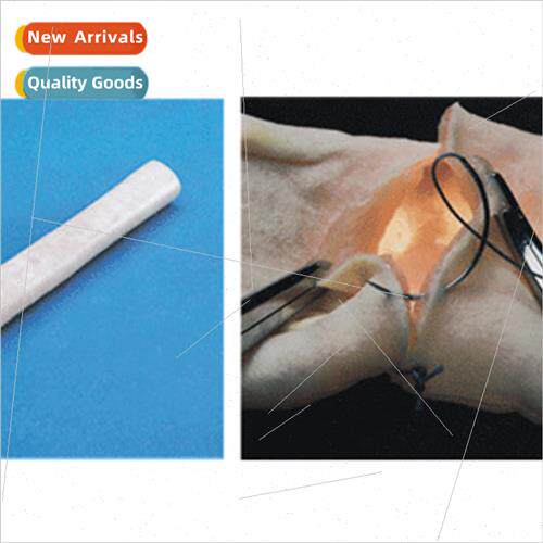 Intestinal anastomosis model Rehearsal intestinal anastomosi