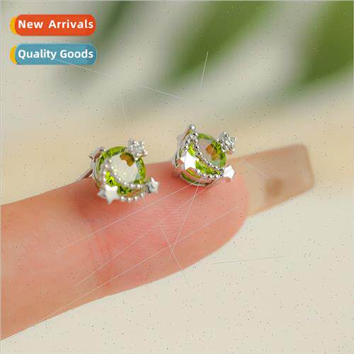earrings female raising ear hole earrings tide niche earring