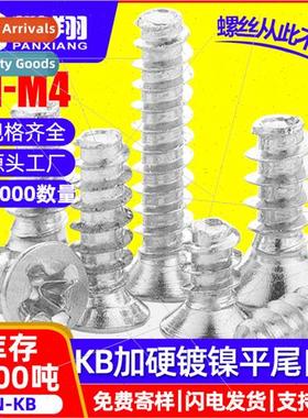 KB hardened hardened plain end self-tapping screws Phillips