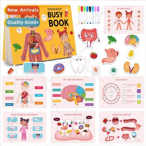 Children busy bookbusy book toddler preschool body structure