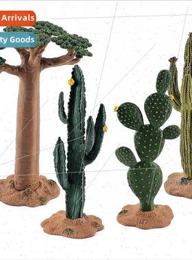 Desktop micro sandbox plant cactus model desert greenery bao