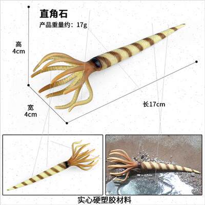 ancient times animal model right angle stone odd shrimp preh