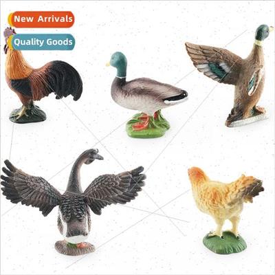 Farm poultry chickens ducks geese model children science edu
