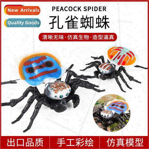 insect model solid cognive science education Australia peaco