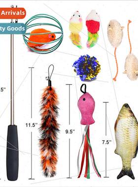 Pet Cat Toys Set Set Retractable Feather Teaser Mouse 11 pcs