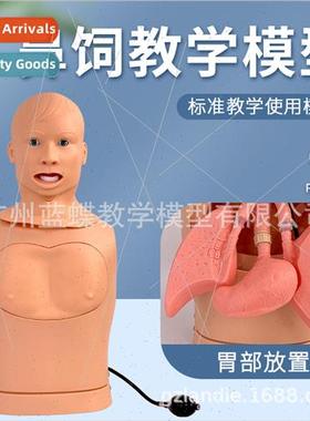 Nasogastric tube tracheal tube care model nasogastric tube m