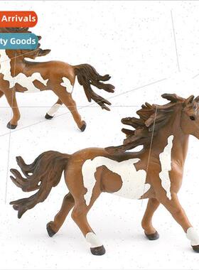 Wild stallion pinto stallion thousmiles horse eight steeds w