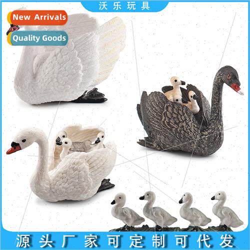 Poultry farm animal model static desktop decoration ornament