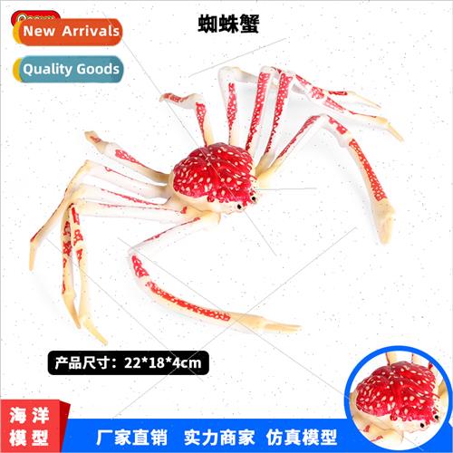 Marine spider crab animal model children cognive toys plasti
