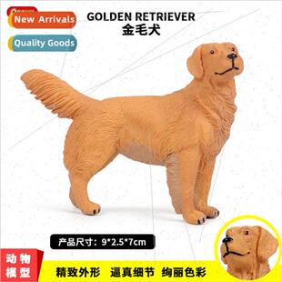 wild animal model golden retriever pet dog handmade desktop