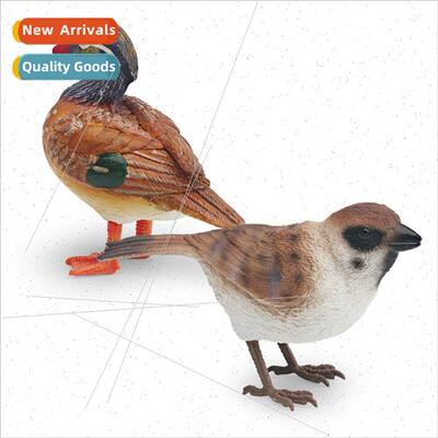 Flying birds birds animal model female mandarin ducks sparro