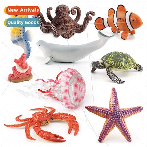 Beluga Whale Clownfish Turtle Octopus Seahorse King Crab Sta