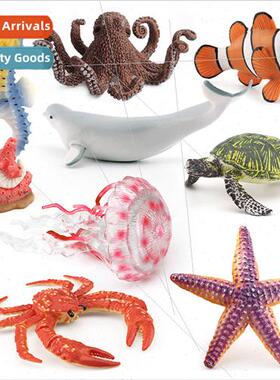 Beluga Whale Clownfish Turtle Octopus Seahorse King Crab Sta