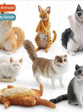 Solid static pet cat model praying cat sleeping cat shorthai